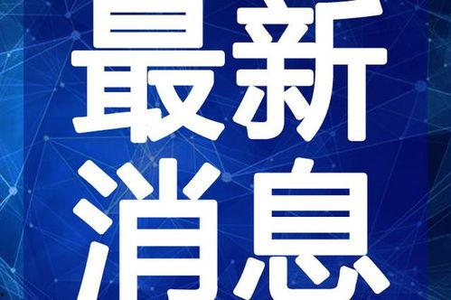 威海酒店爆料视频最新2020,揭秘酒店行业背后真相