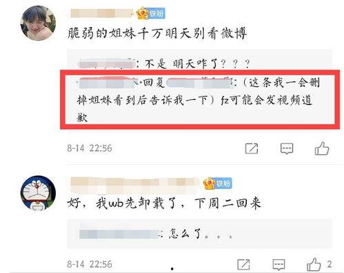 沈阳爆料最新消息视频,视频揭露惊人内幕