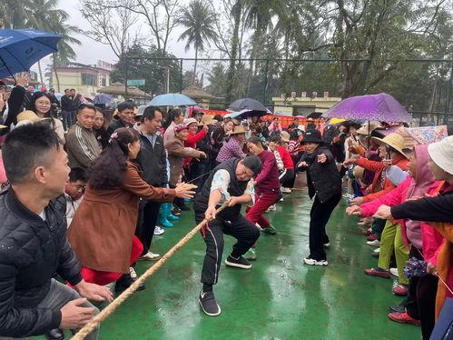 屯昌新兴镇爆料事件最新,真相揭开，村民权益引发关注