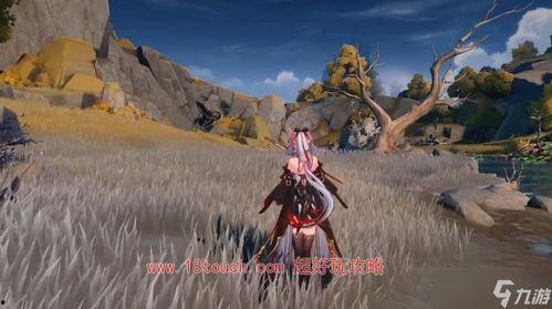 潮光最新技能爆料,觉醒之力，战力再升级！