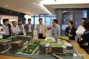 肥东县政府爆料事件最新,事件真相及后续处理情况揭晓