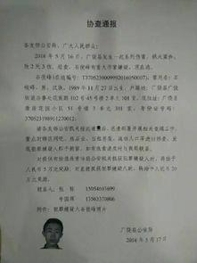 山东最近爆料案件最新消息