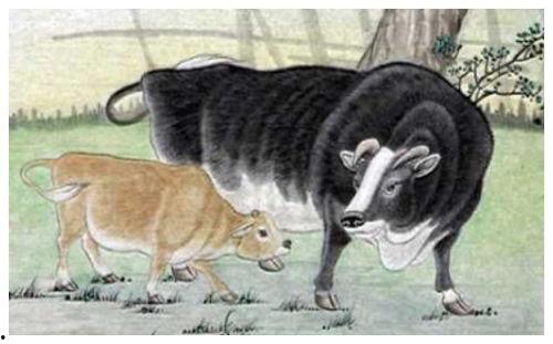 最新版本大爆料牛气冲天,牛气冲天，揭秘科技巨头新动向