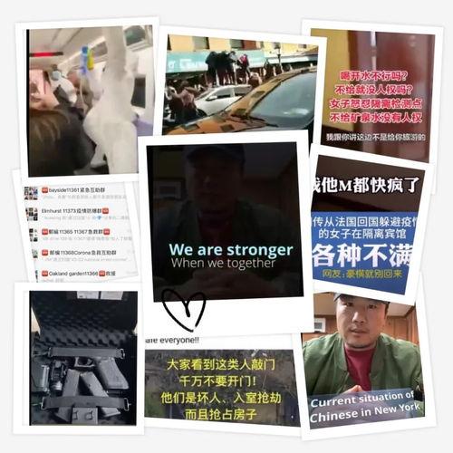 全球病毒最新爆料视频,病毒爆料视频深度解析