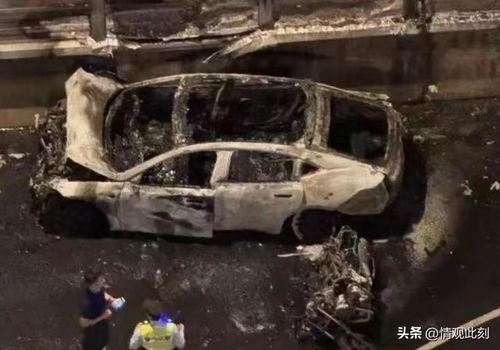 所有车辆最新车型爆料油车