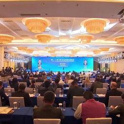 威海最新爆料消息视频大全,揭秘城市热点瞬间