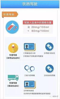 澄海交通爆料最新消息查询