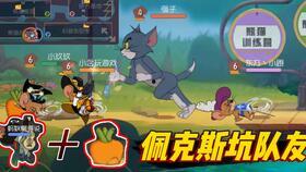 猫鼠共研服最新爆料,揭秘游戏内神秘机制与角色互动