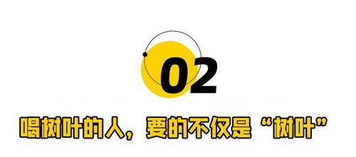 东方树叶最新爆料消息,揭秘神秘新品背后的创新力量