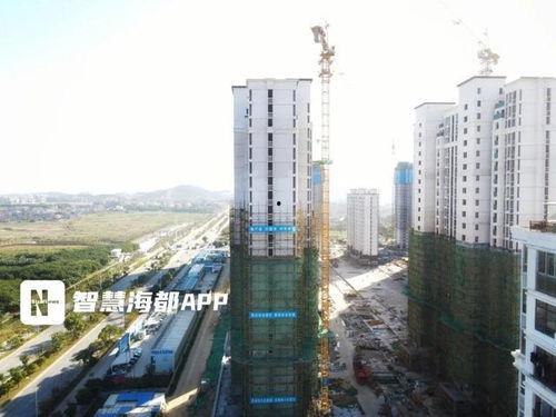 莆田8号楼爆料最新消息,揭秘事件背后真相！”