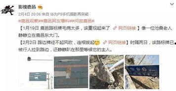 鹿邑最新爆料事件